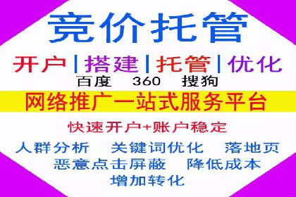 百度竞价代运营成功案例解析